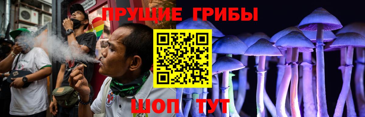 Псилоцибиновые грибы Psilocybine cubensis Старая Купавна